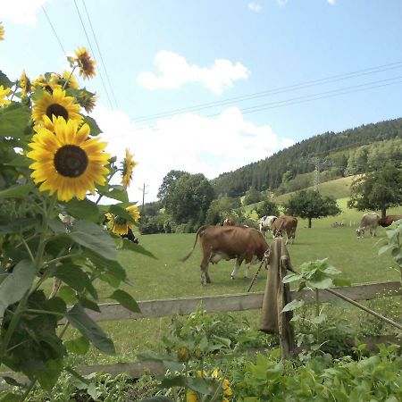 Apartament Urlaub Auf Dem Haenslehof Elzach Zewnętrze zdjęcie