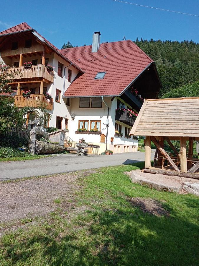Apartament Urlaub Auf Dem Haenslehof Elzach Zewnętrze zdjęcie