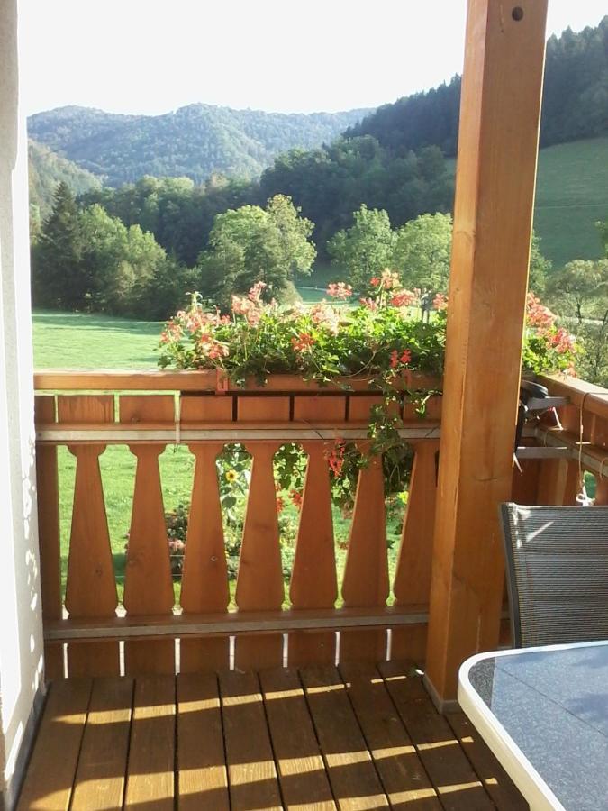 Apartament Urlaub Auf Dem Haenslehof Elzach Zewnętrze zdjęcie