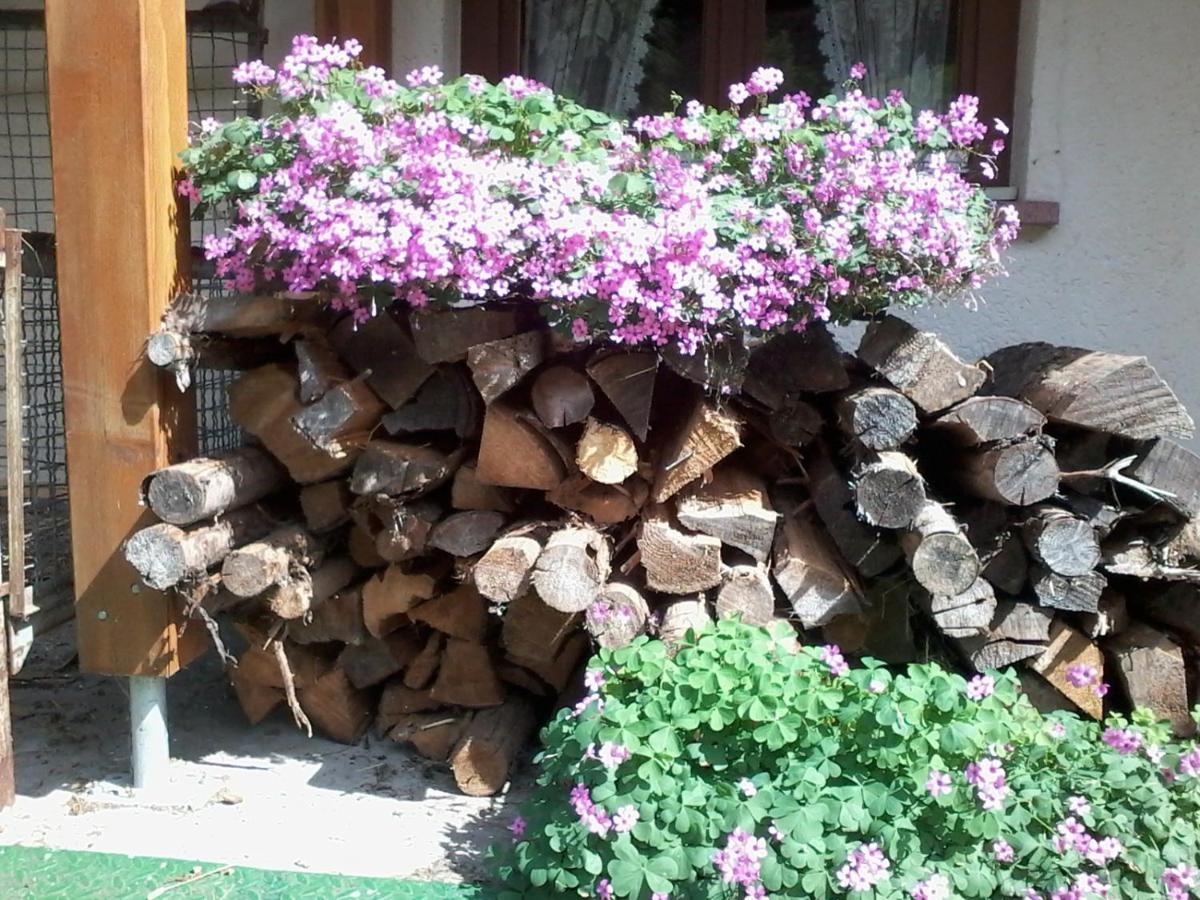 Apartament Urlaub Auf Dem Haenslehof Elzach Zewnętrze zdjęcie