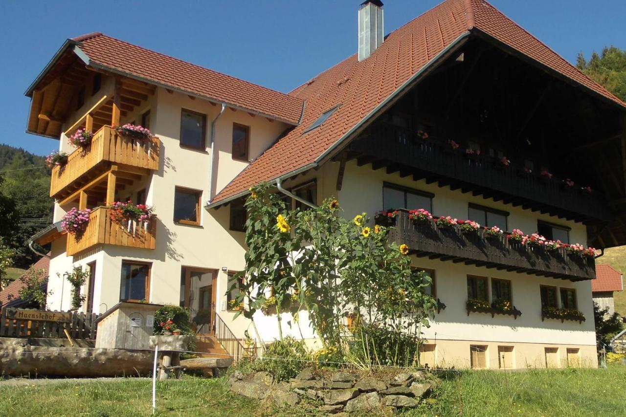 Apartament Urlaub Auf Dem Haenslehof Elzach Zewnętrze zdjęcie