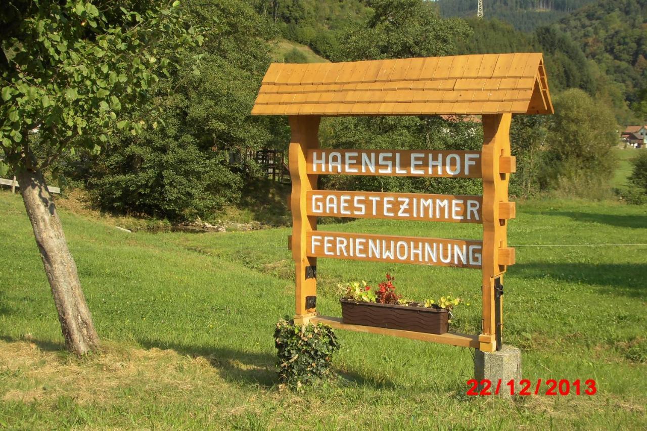 Apartament Urlaub Auf Dem Haenslehof Elzach Zewnętrze zdjęcie