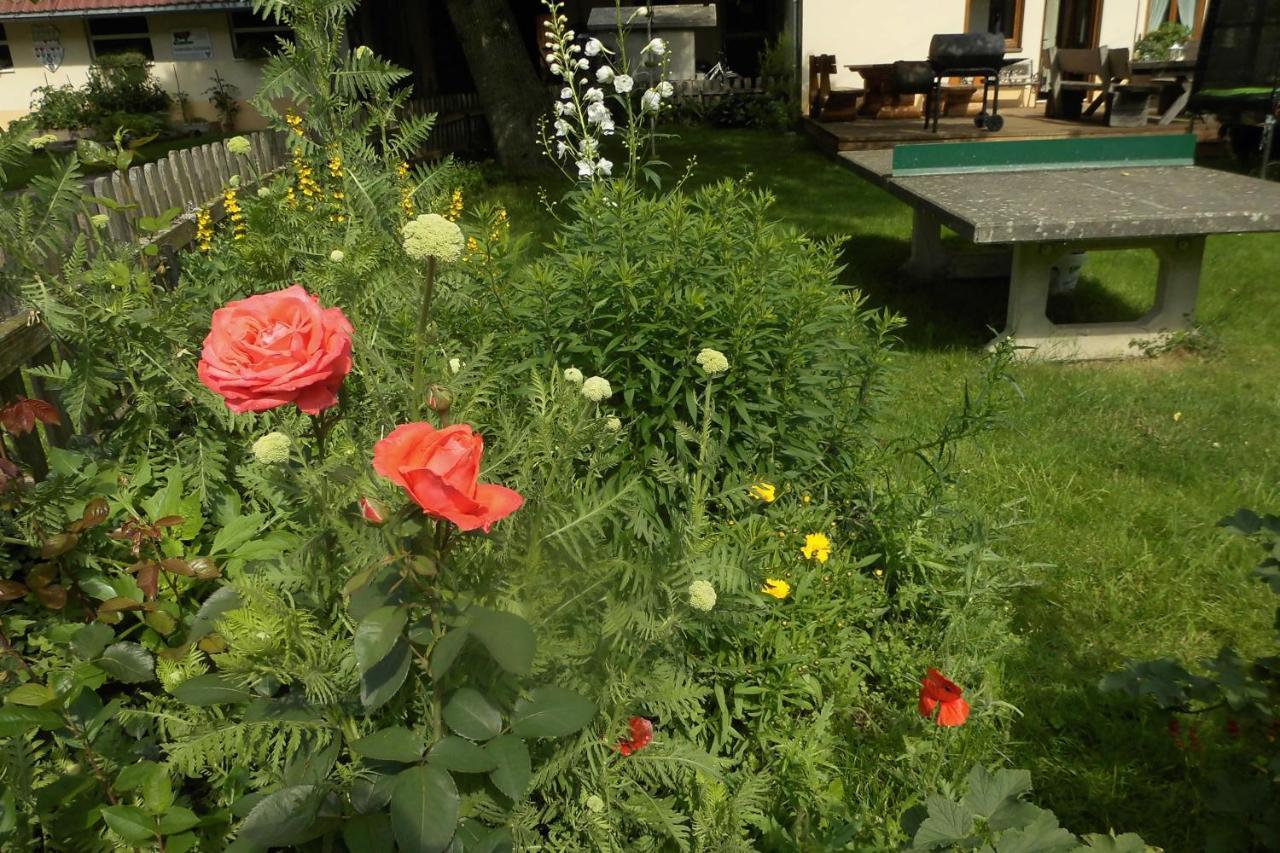Apartament Urlaub Auf Dem Haenslehof Elzach Zewnętrze zdjęcie