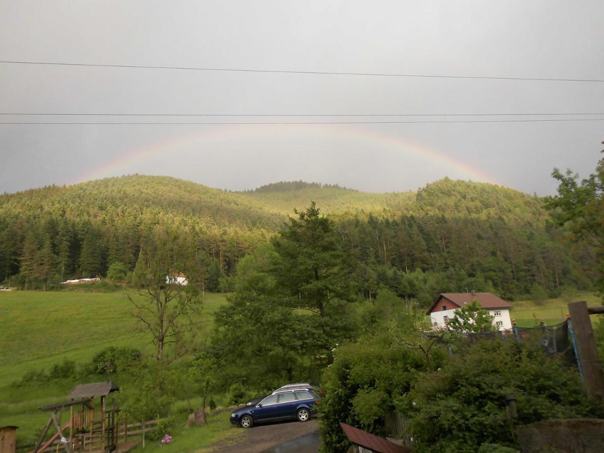 Apartament Urlaub Auf Dem Haenslehof Elzach Zewnętrze zdjęcie