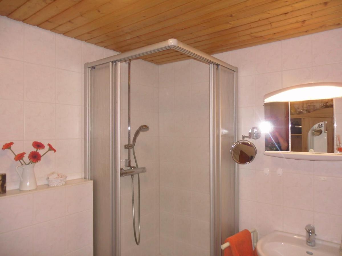 Apartament Urlaub Auf Dem Haenslehof Elzach Zewnętrze zdjęcie