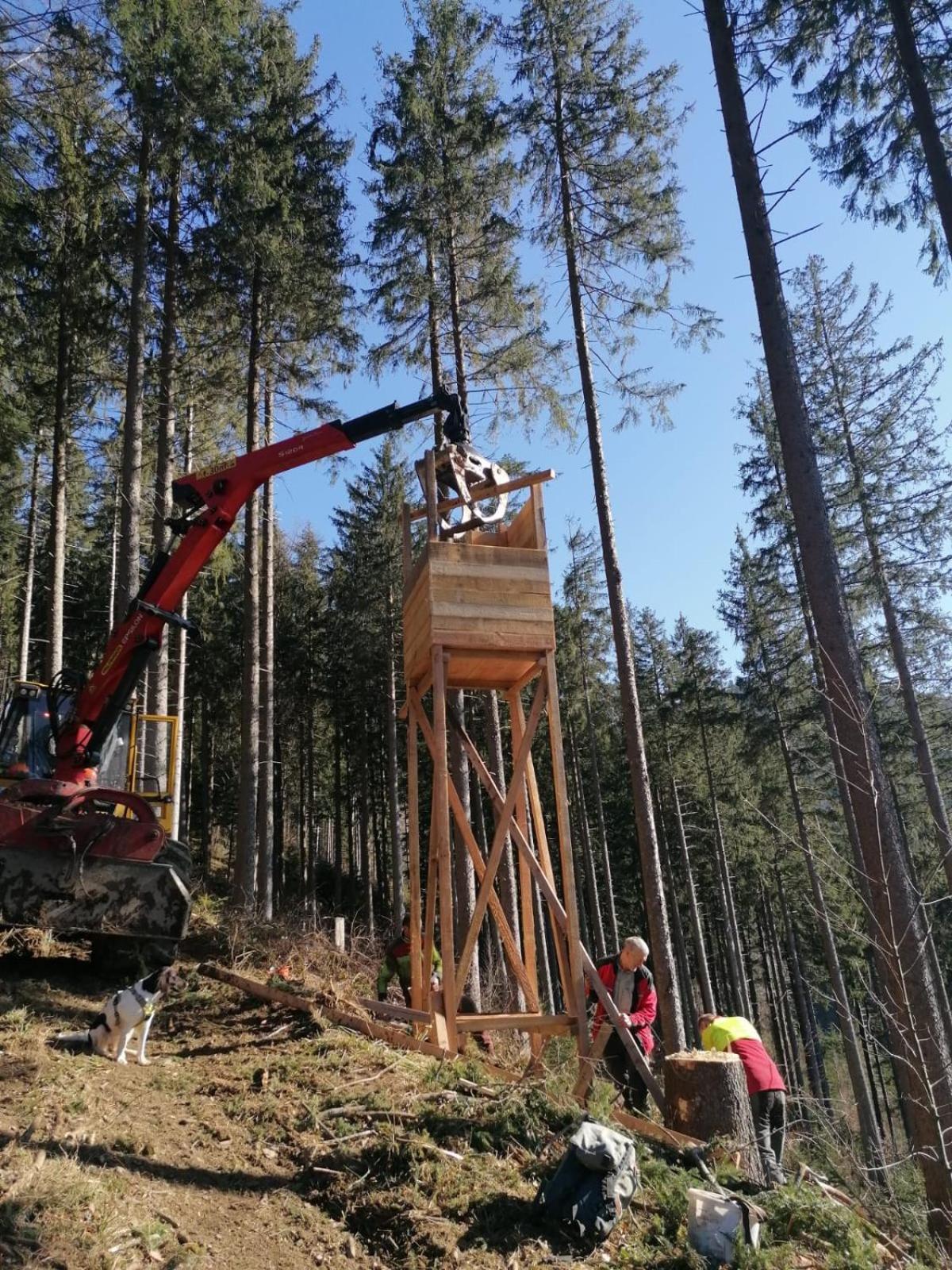 Apartament Urlaub Auf Dem Haenslehof Elzach Zewnętrze zdjęcie