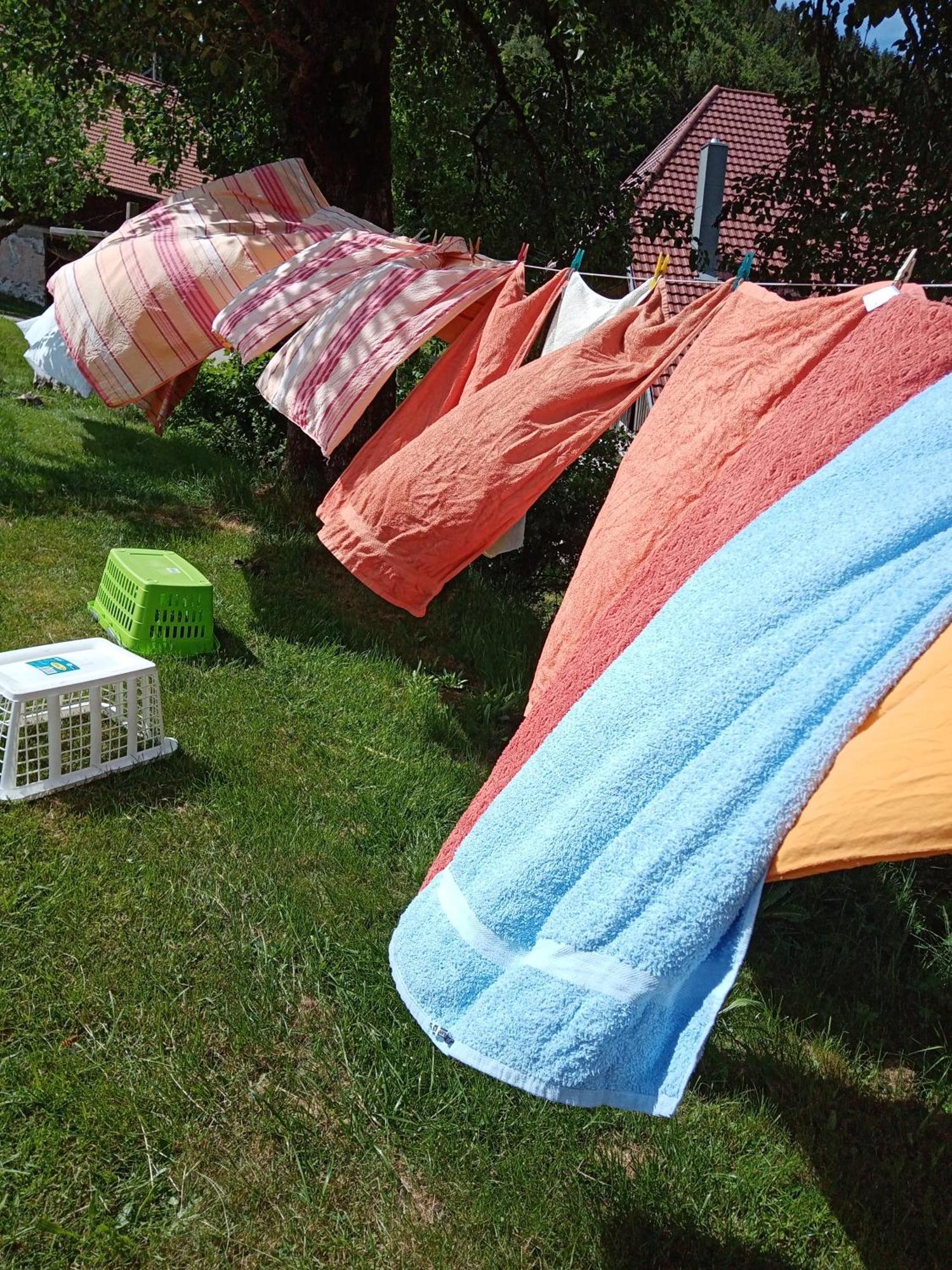 Apartament Urlaub Auf Dem Haenslehof Elzach Zewnętrze zdjęcie