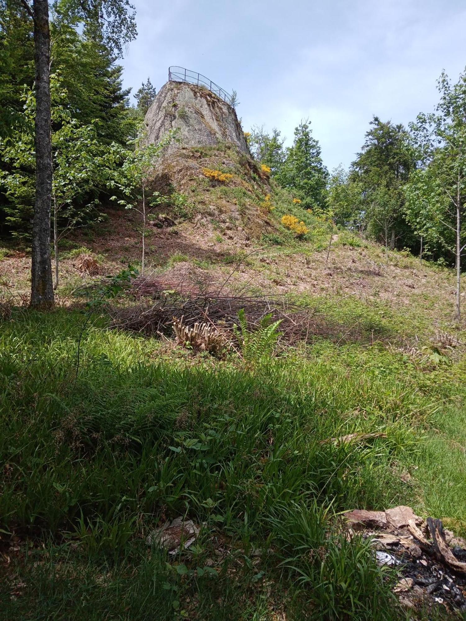 Apartament Urlaub Auf Dem Haenslehof Elzach Zewnętrze zdjęcie