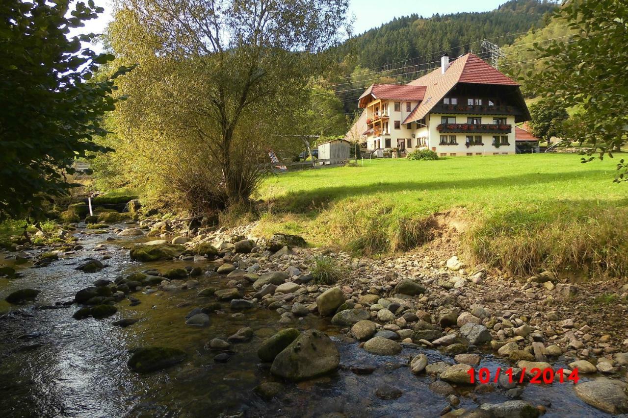 Apartament Urlaub Auf Dem Haenslehof Elzach Zewnętrze zdjęcie