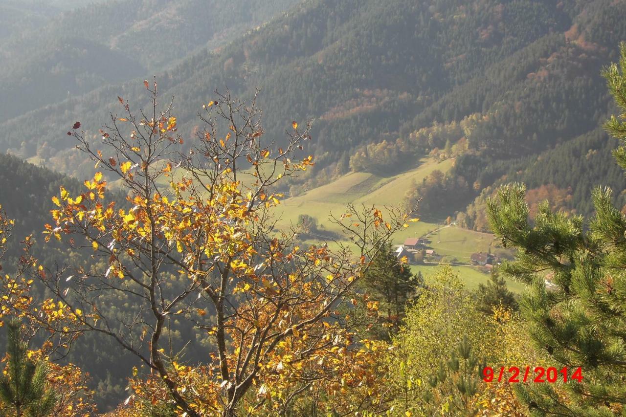 Apartament Urlaub Auf Dem Haenslehof Elzach Zewnętrze zdjęcie