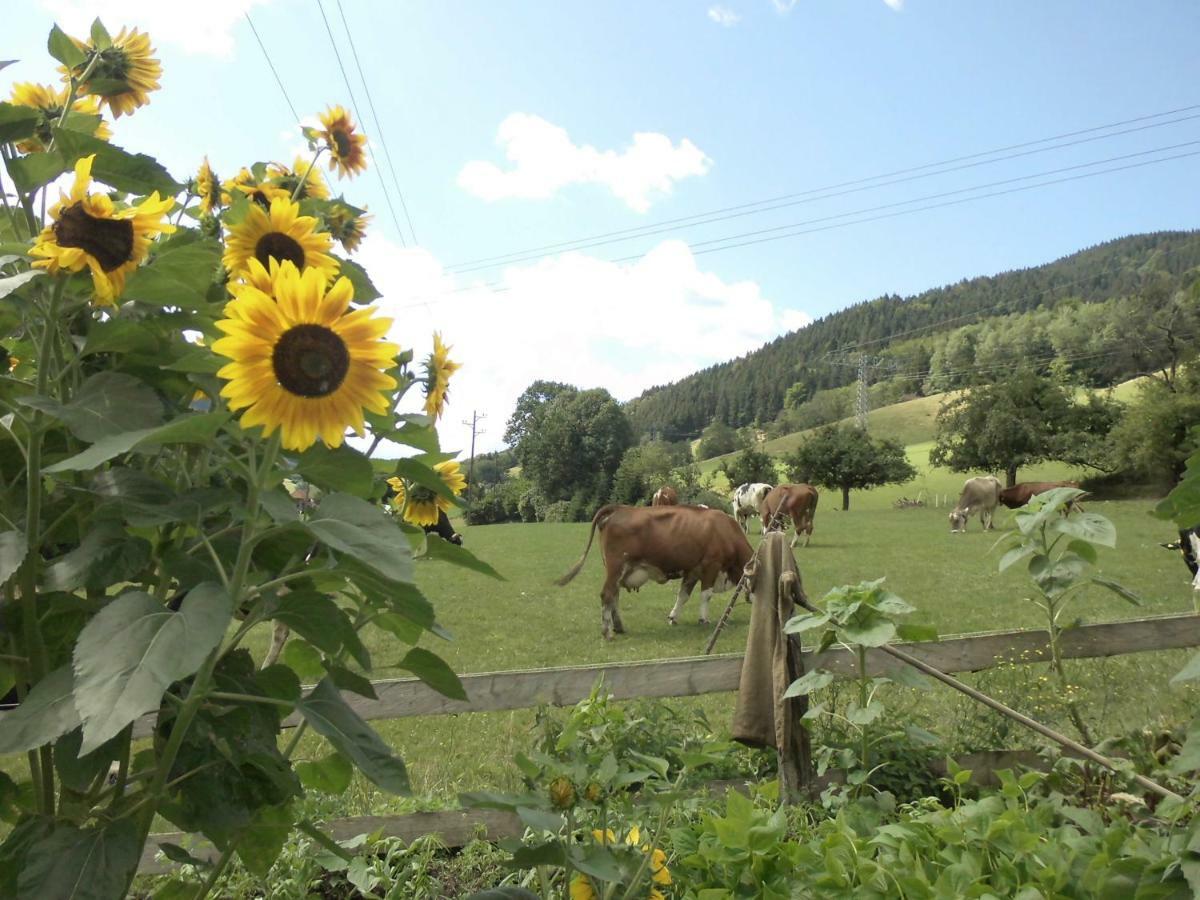 Apartament Urlaub Auf Dem Haenslehof Elzach Zewnętrze zdjęcie
